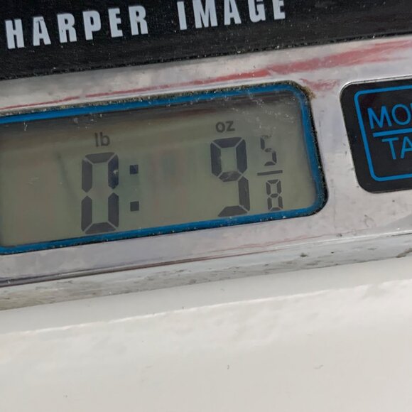 Hayley Matthews Navy Blue Lace & Chiffon Sleeveless Dress Size 12 Elegant Midi - Picture 10 of 10